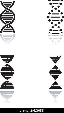 DNA spiral strands drop shadow black glyph icons set. Deoxyribonucleic, nucleic acid helix. Spiraling strands. Chromosome. Molecular biology. Genetic Stock Vector