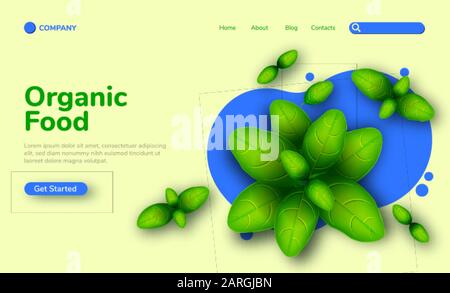 Web banner with realistic green basil on white and blue background. Popular culinary plants, fresh herbs. Illustration for Organic Store. Template for Stock Vector
