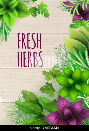 Vertical banner with realistic fresh herbs on wooden board background. Popular culinary plants, red and green basil, rosemary, parsley. Illustration f Stock Vector