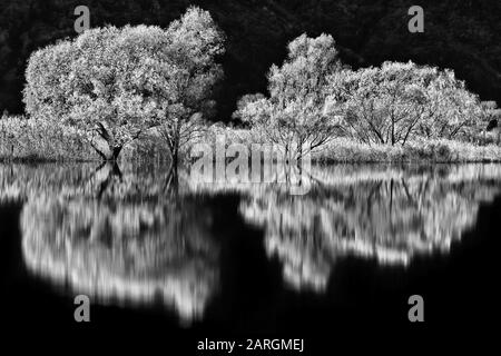 Reflections on the river, Cono lake, Italy