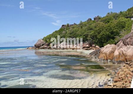 Beach view with rocks, seaweed and coral reef from Five Star Hotel Domaine de L'Orangeraie, La Digue, Seychelles. Stock Photo