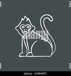 Baby monkey chalk icon. Tropical country animal, mammal. Exploring Indonesian islands wildlife. Cute primate sitting. Visiting exotic Balinese forest Stock Vector