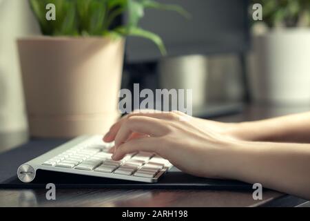 Girl works at home at the computer. Female hands are typing on the keyboard. Stock Photo