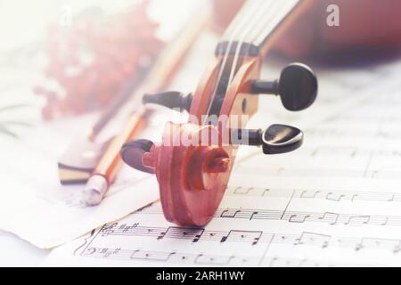 Violin and bow, bunch of mountain ash on light background Stock Photo