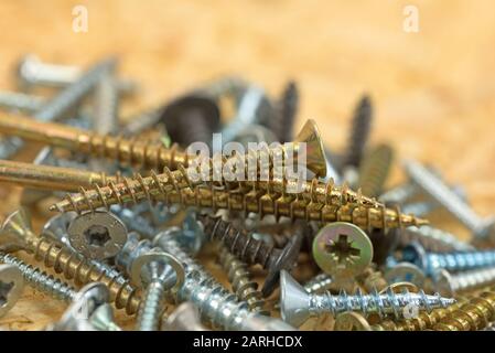 Galvanized wood screws in a close-up Stock Photo