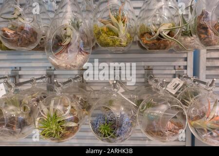 Brooklyn Botanic gift shop in NYC Stock Photo