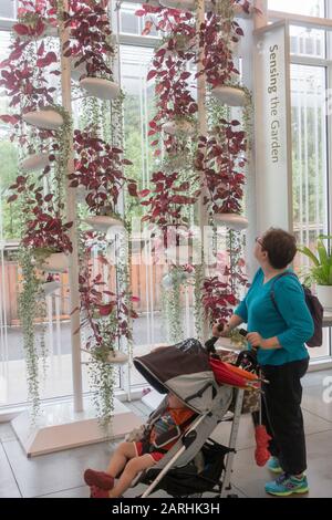 Brooklyn Botanic gift shop in NYC Stock Photo