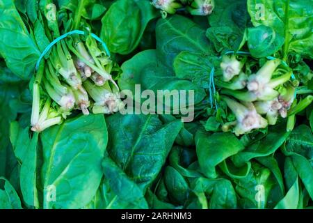 fresh green leaves spinach or pak choi Close-up Fresh Casting Spinach Zi By The Counter Of A Store. Healthy and natural vegetarian food. Vitamin Salad Stock Photo