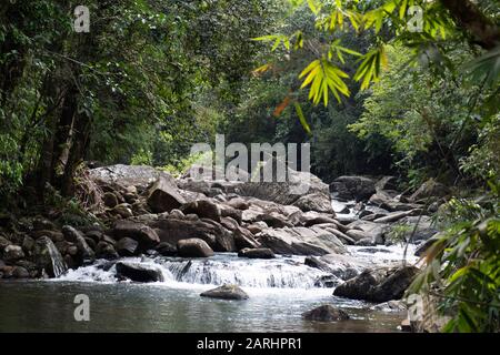 Rainforest waterfall, Sinharaja World Heritage Site, Sri Lanka Stock Photo