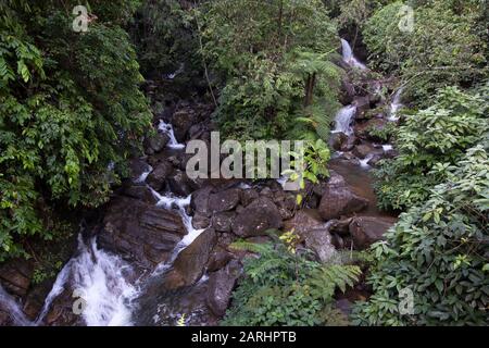 Rainforest waterfall, Sinharaja World Heritage Site, Sri Lanka Stock Photo
