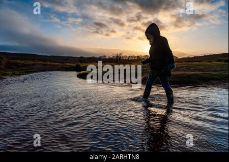 Godshill, near Fordingbridge, New Forest, Hampshire, UK, 28th January 2020, Weather. A cold winter afternoon in the New Forest National Park. Rain showers clearing to allow some watery sunshine. The winter has so far been a wet one in the South of England. Credit: Paul Biggins/Alamy Live News Stock Photo