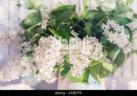 A bouquet of white lilac in an old vintage jug. Spring floral background. Selective focus. Close up. Stock Photo
