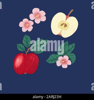 Image of apples and Apple blossoms on a blue background Stock Photo