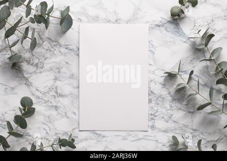 Beautiful abstract floral background. Flat lay, top view eucalyptus on marble background, flat lay on light textured stone table surface. Minimal conc Stock Photo