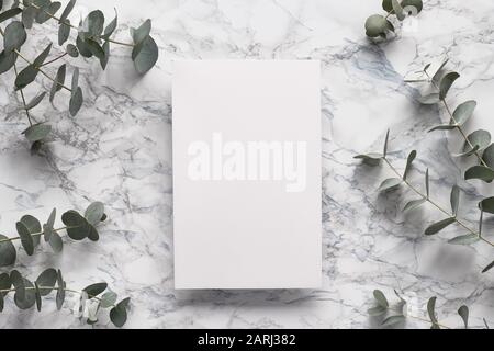 Eucalyptus twigs on marble table with blank paper page. Beautiful abstract floral background. Flat lay, top view eucalyptus on white grey marble, flat Stock Photo