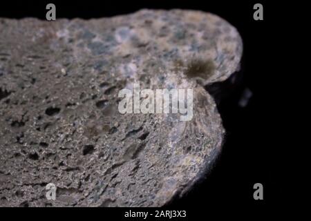Moldy white bread on a black background.  Slice of moldy bread on a black table Stock Photo