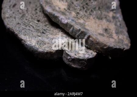 Moldy white bread on a black background.  Slice of moldy bread on a black table Stock Photo