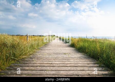 Wooden walkway through tall grass on the North sea coastline, on Sylt island, Germany, on a sunny summer day. Footpath through nature. Endless alley. Stock Photo