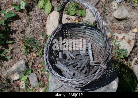 Pile of weathered wooden laundry clamps closeup in reed basket Stock Photo