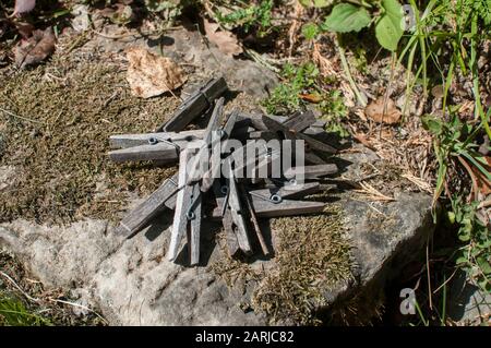 Pile of weathered wooden laundry clamps closeup Stock Photo