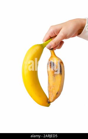 Woman hands holding two types of banana fresh and spoiled isolated on white background. Stock Photo