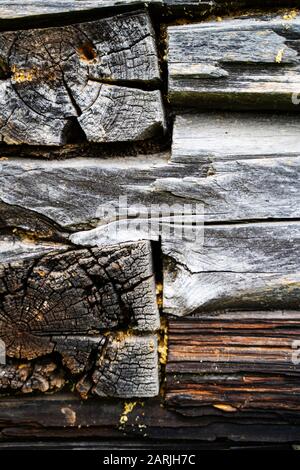Old wood texture. Old panels background Stock Photo