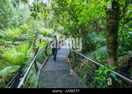 Woman hiking on the Triplet Waterfall trail in Victoria / Australia Stock Photo