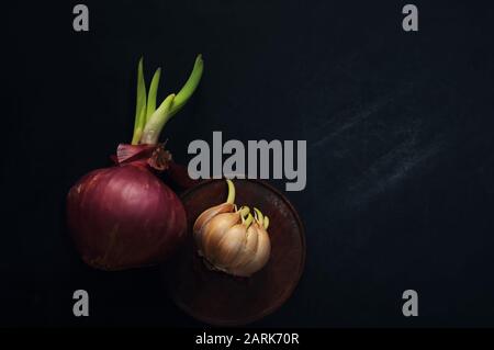 Sprout red onion and garlic on black floor Stock Photo