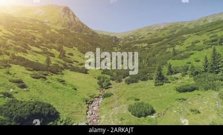 Aerial Drone Flight View above beautiful mountain landscape. Green valley with pine tree forest and curve river in sunset soft light. Nature, travel. Carpathian mountains, Ukraine, Europe. Stock Photo