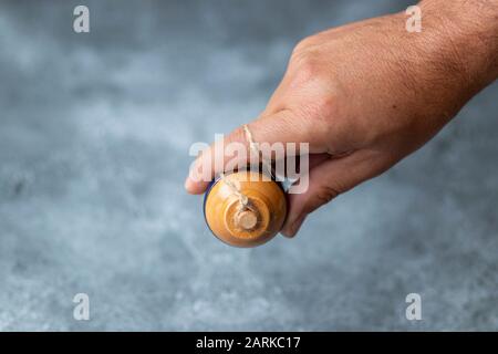 Classic wooden spinning top toy with string Stock Photo