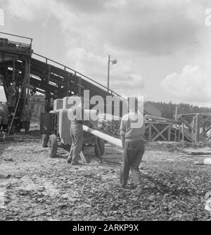 woodworking, workers, machines, logs Date: undated Keywords: workers, logs, woodworking, machines Stock Photo