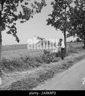 roads, trees, shrubs, workers, tools Date: undated Keywords: workers, trees, tools, shrubs, roads Stock Photo