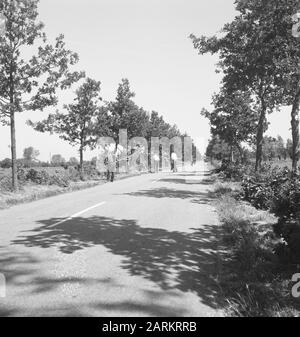 roads, trees, shrubs, workers, tools Date: undated Keywords: workers, trees, tools, shrubs, roads Stock Photo