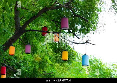 Colorful round lamps hanging on the tree. Decorative. Stock Photo