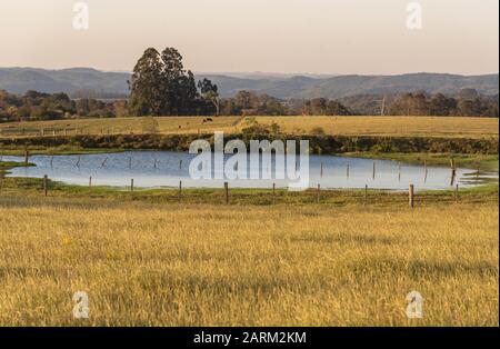 Fallow pasture field in southern Brazil and in the background a small freshwater lake for cattle to drink. Small rural property in southern Brazil whe Stock Photo