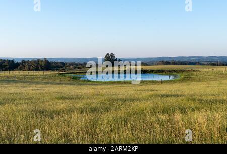 Fallow pasture field in southern Brazil and in the background a small freshwater lake for cattle to drink. Small rural property in southern Brazil whe Stock Photo