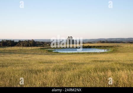 Fallow pasture field in southern Brazil and in the background a small freshwater lake for cattle to drink. Small rural property in southern Brazil whe Stock Photo