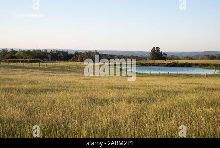 Fallow pasture field in southern Brazil and in the background a small freshwater lake for cattle to drink. Small rural property in southern Brazil whe Stock Photo