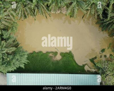 A top down aerial view of a lake or pond filled with water lilies with a hut in the middle. Located in Jong’s Crocodile Farm of Kuching, Sarawak, Mala Stock Photo