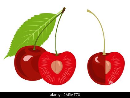 Ripe cherry, half cherry, cherry with a leaf isolated on white background. Vector Stock Vector