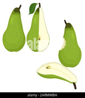 Pears vector illustration isolated on white background. Stock Vector