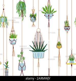 Green house plant seamless pattern of modern macrame potted plants flat cartoon and succulent cactus hanging on isolated white background wall. Stock Vector