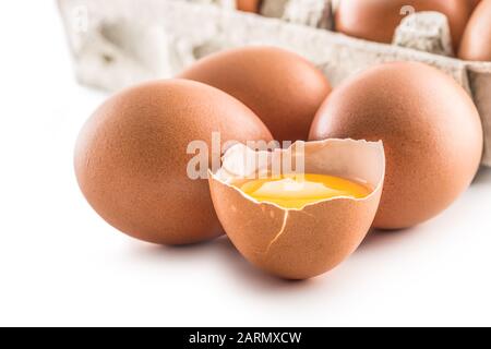 Chicken eggs and broken egg with yolk isolated on white background. Stock Photo