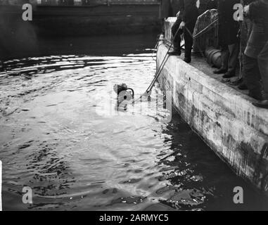 Kikvorsmannen dive to the remains of 'Zwarte Jeanne' in the Riekerhaven ...