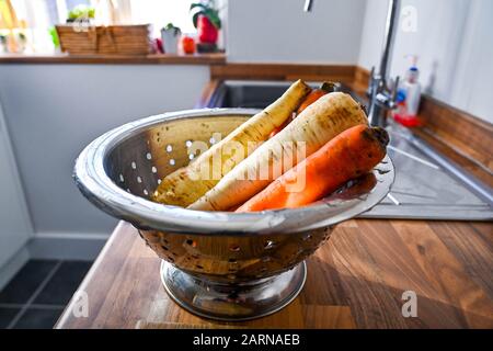 Washed carrots and parsnips bought from mobile farm shop ready for cooking in a colander at home kitchen Stock Photo