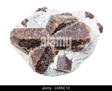 closeup of sample of natural mineral from geological collection - unpolished Staurolite in mica schist rock isolated on white background Stock Photo