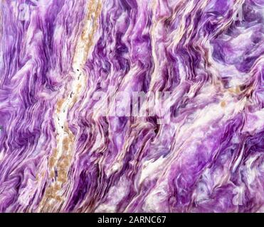 background from polished natural purple Charoite rock close up Stock Photo
