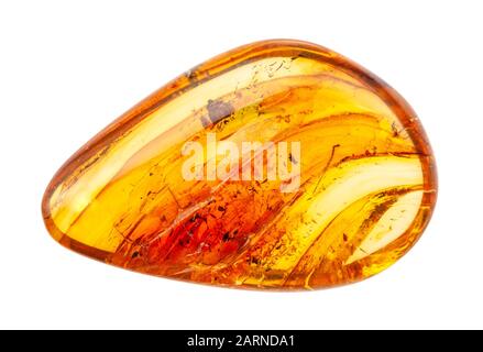 closeup of sample of natural mineral from geological collection - polished Amber gemstone with inclusions isolated on white background Stock Photo
