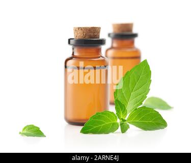 Peppermint essential oil isolated on white background Stock Photo