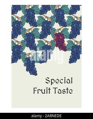 Art-nouveau blue muscat grapes background template for menu, cover, vine card retro style botanical illustration in vector with copy space Stock Vector